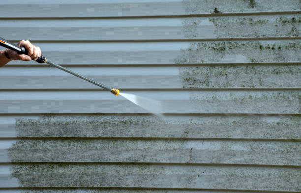 Best Roof Washing  in Rock Springs, WY